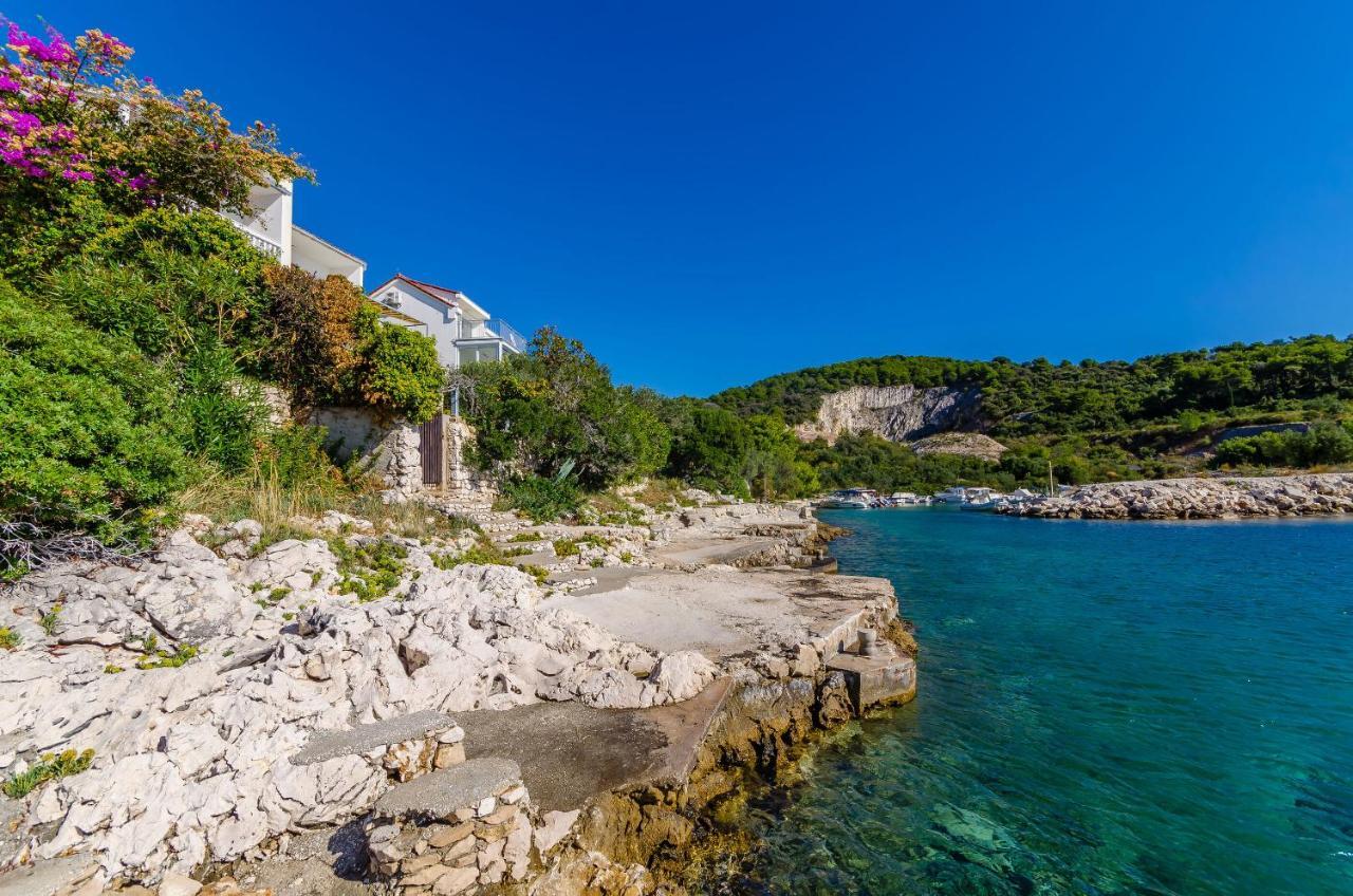 House Zdenka Villa Donji Okrug  Dış mekan fotoğraf